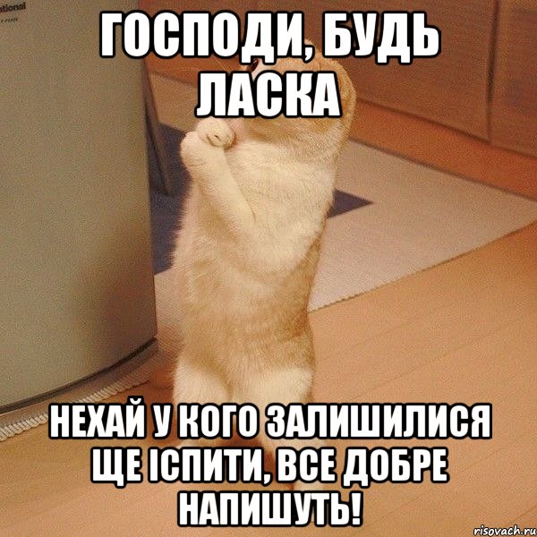 господи, будь ласка нехай у кого залишилися ще іспити, все добре напишуть!, Мем  котэ молится