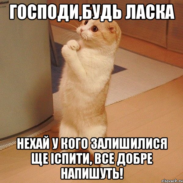 господи,будь ласка нехай у кого залишилися ще іспити, все добре напишуть!, Мем  котэ молится