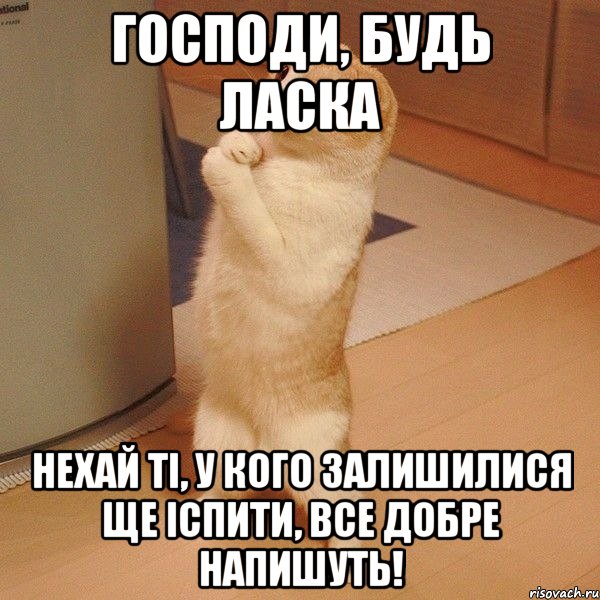 господи, будь ласка нехай ті, у кого залишилися ще іспити, все добре напишуть!, Мем  котэ молится