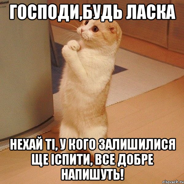 господи,будь ласка нехай ті, у кого залишилися ще іспити, все добре напишуть!, Мем  котэ молится