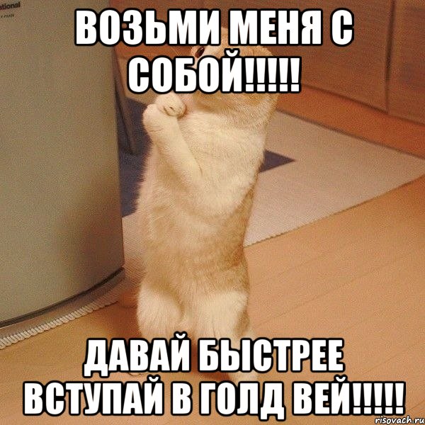 возьми меня с собой!!! давай быстрее вступай в голд вей!!!, Мем  котэ молится