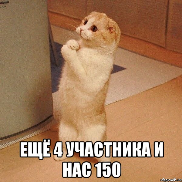  ещё 4 участника и нас 150, Мем  котэ молится