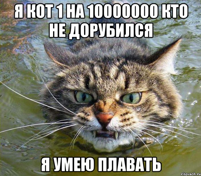 я кот 1 на 10000000 кто не дорубился я умею плавать, Мем котэ