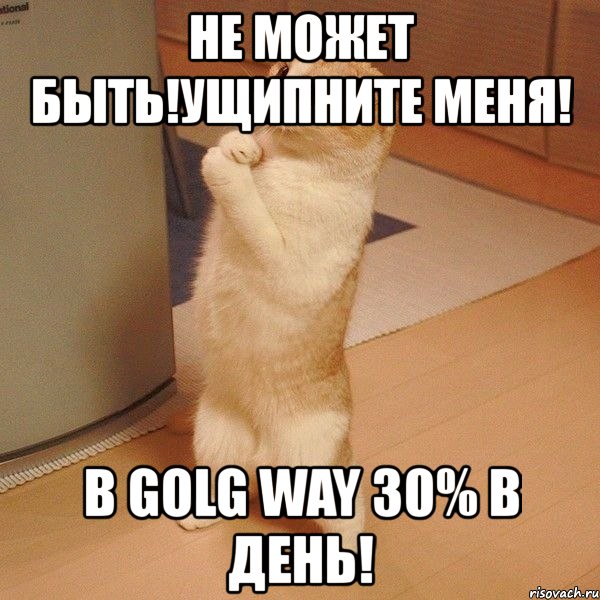 не может быть!ущипните меня! в golg way 30% в день!, Мем  котэ молится