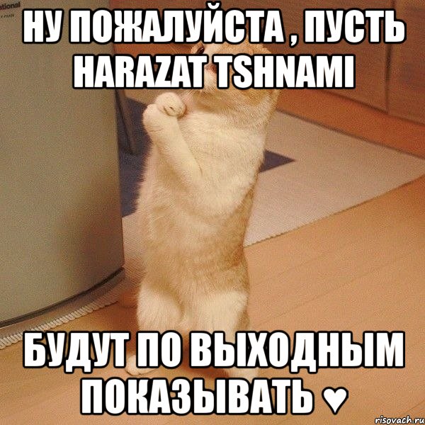 ну пожалуйста , пусть harazat tshnami будут по выходным показывать ♥, Мем  котэ молится