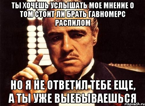 ты хочешь услышать мое мнение о том стоит ли брать гавномерс распилом но я не ответил тебе еще, а ты уже выебываешься, Мем крестный отец