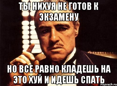 ты нихуя не готов к экзамену но все равно кладешь на это хуй и идешь спать, Мем крестный отец