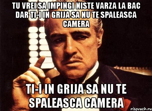 tu vrei sa impingi niste varza la bac dar ti-i in grija sa nu te spaleasca camera ti-i in grija sa nu te spaleasca camera, Мем крестный отец