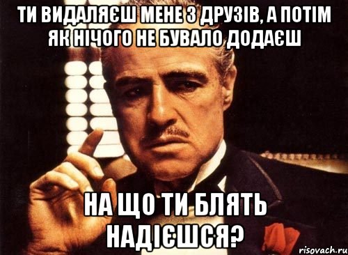 ти видаляєш мене з друзів, а потім як нічого не бувало додаєш на що ти блять надієшся?, Мем крестный отец