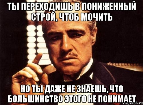 ты переходишь в пониженный строй, чтоб мочить но ты даже не знаешь, что большинство этого не понимает, Мем крестный отец