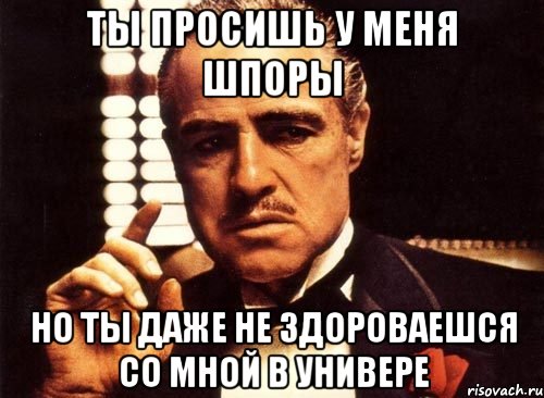 ты просишь у меня шпоры но ты даже не здороваешся со мной в универе, Мем крестный отец