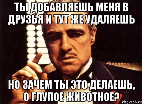 ты добавляешь меня в друзья и тут же удаляешь но зачем ты это делаешь, о глупое животное?, Мем крестный отец