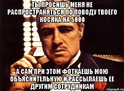 ты просишь меня не распространяться по поводу твоего косяка на 5000 а сам при этом фоткаешь мою объяснительную и рассылаешь ее другим сотрудникам, Мем крестный отец