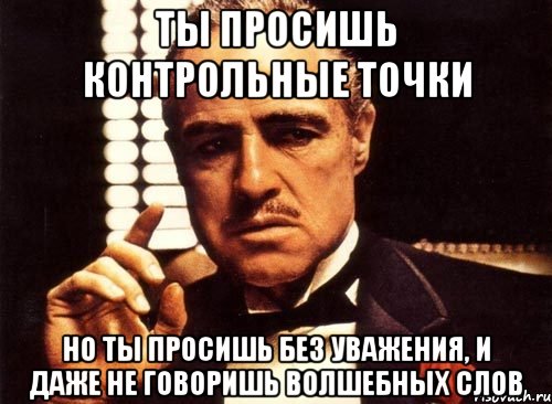 ты просишь контрольные точки но ты просишь без уважения, и даже не говоришь волшебных слов, Мем крестный отец