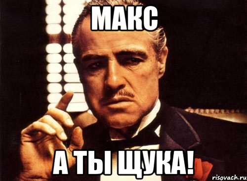 макс а ты щука!, Мем крестный отец