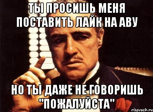 ты просишь меня поставить лайк на аву но ты даже не говоришь "пожалуйста", Мем крестный отец