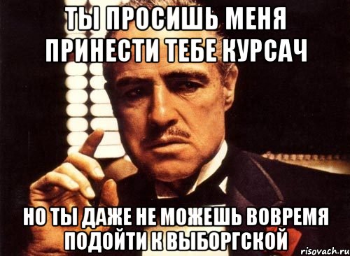 ты просишь меня принести тебе курсач но ты даже не можешь вовремя подойти к выборгской, Мем крестный отец