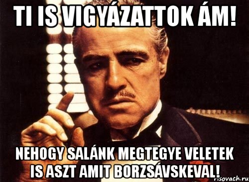 ti is vigyázattok ám! nehogy salánk megtegye veletek is aszt amit borzsávskeval!, Мем крестный отец