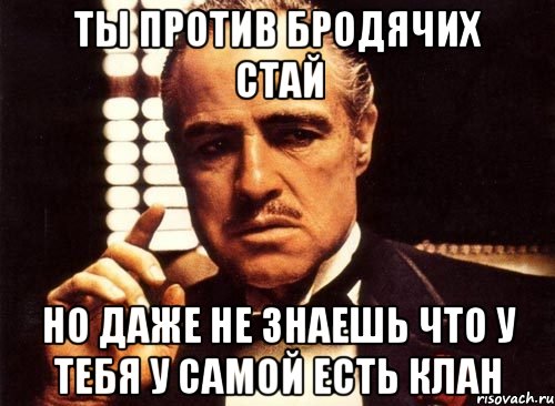 ты против бродячих стай но даже не знаешь что у тебя у самой есть клан, Мем крестный отец