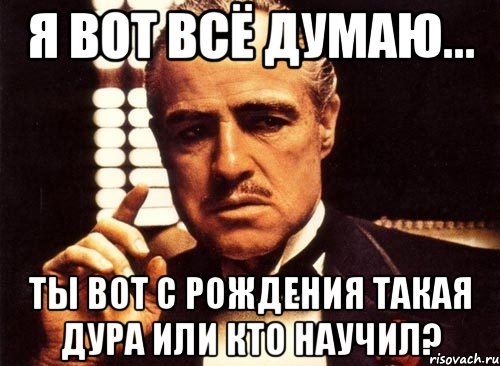 я вот всё думаю... ты вот с рождения такая дура или кто научил?, Мем крестный отец