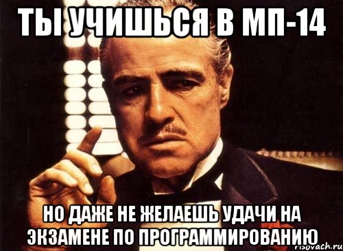 ты учишься в мп-14 но даже не желаешь удачи на экзамене по программированию, Мем крестный отец