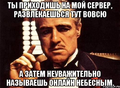 ты приходишь на мой сервер, развлекаешься тут вовсю а затем неуважительно называешь онлайн небесным., Мем крестный отец