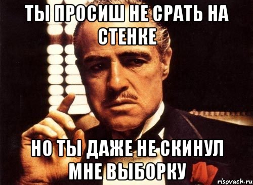 ты просиш не срать на стенке но ты даже не скинул мне выборку, Мем крестный отец