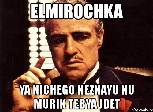 elmirochka ya nichego neznayu nu murik tebya jdet, Мем крестный отец