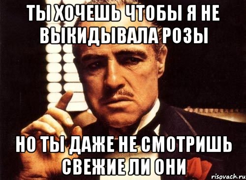 ты хочешь чтобы я не выкидывала розы но ты даже не смотришь свежие ли они, Мем крестный отец