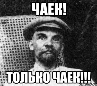 чаек! только чаек!!!, Мем   Ленин удивлен