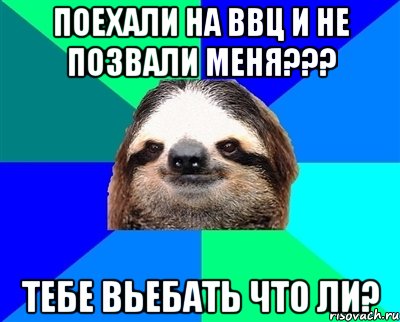 поехали на ввц и не позвали меня??? тебе вьебать что ли?, Мем Ленивец