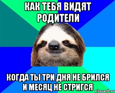 как тебя видят родители когда ты три дня не брился и месяц не стригся, Мем Ленивец