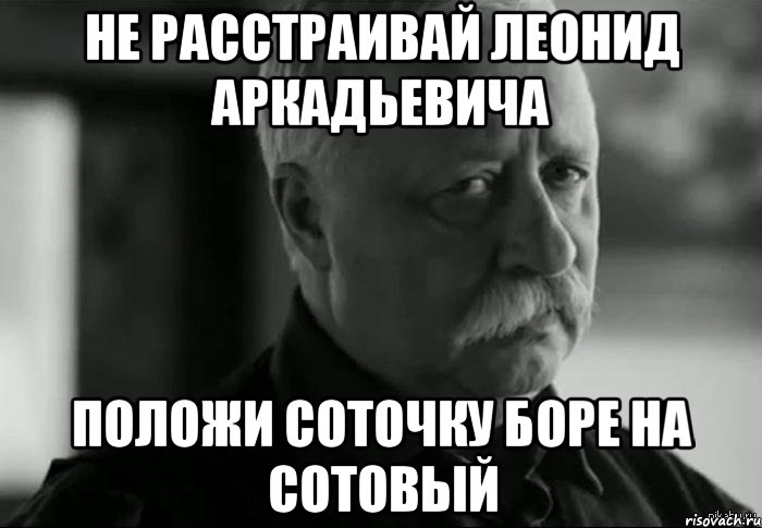 не расстраивай леонид аркадьевича положи соточку боре на сотовый, Мем Не расстраивай Леонида Аркадьевича