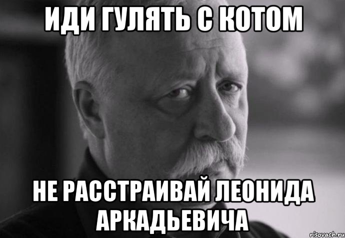 иди гулять с котом не расстраивай леонида аркадьевича, Мем Не расстраивай Леонида Аркадьевича