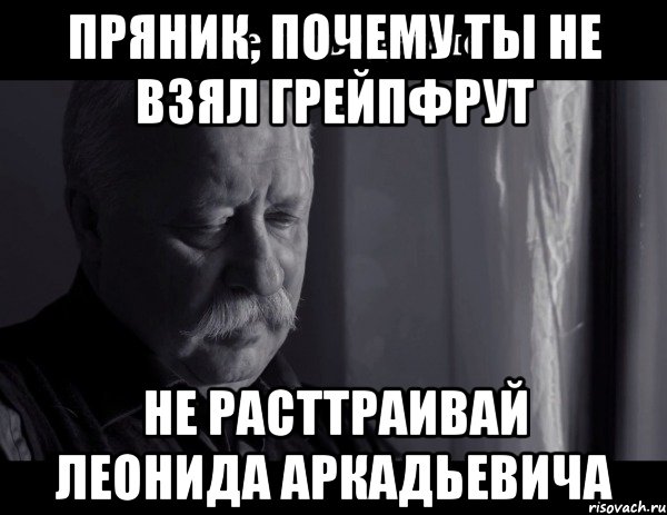 пряник, почему ты не взял грейпфрут не расттраивай леонида аркадьевича, Мем Не расстраивай Леонида Аркадьевича