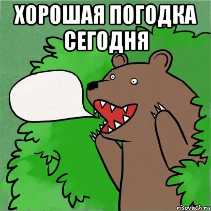 хорошая погодка сегодня 