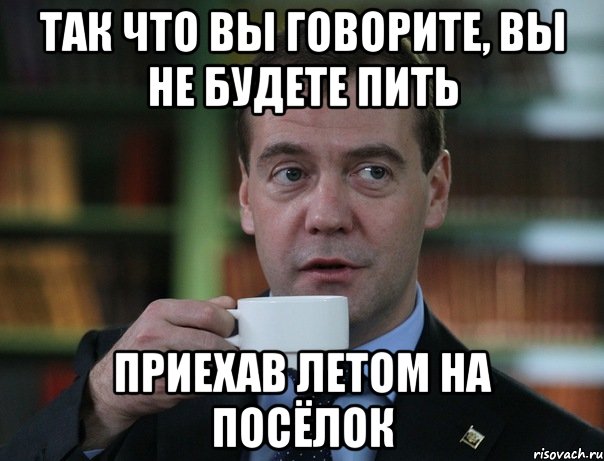 так что вы говорите, вы не будете пить приехав летом на посёлок, Мем Медведев спок бро