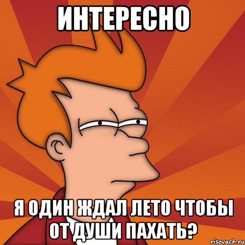 интересно я один ждал лето чтобы от души пахать?, Мем Мне кажется или (Фрай Футурама)