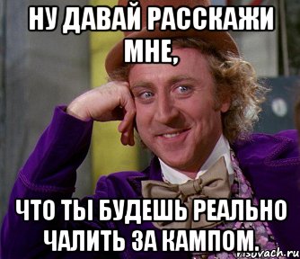 ну давай расскажи мне, что ты будешь реально чалить за кампом., Мем мое лицо