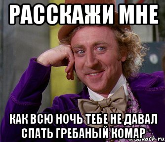 расскажи мне как всю ночь тебе не давал спать гребаный комар, Мем мое лицо