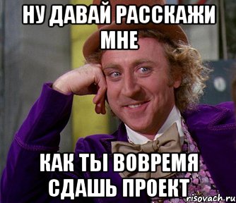 ну давай расскажи мне как ты вовремя сдашь проект, Мем мое лицо