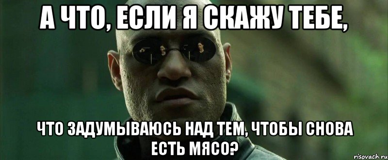 а что, если я скажу тебе, что задумываюсь над тем, чтобы снова есть мясо?