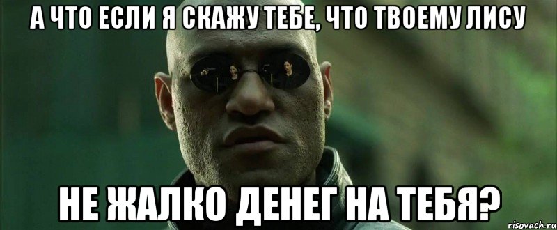 а что если я скажу тебе, что твоему лису не жалко денег на тебя?, Мем  морфеус