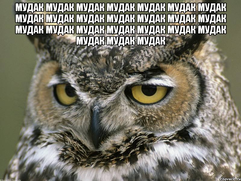мудак мудак мудак мудак мудак мудак мудак мудак мудак мудак мудак мудак мудак мудак мудак мудак мудак мудак мудак мудак мудак мудак мудак мудак , Мем Мудак