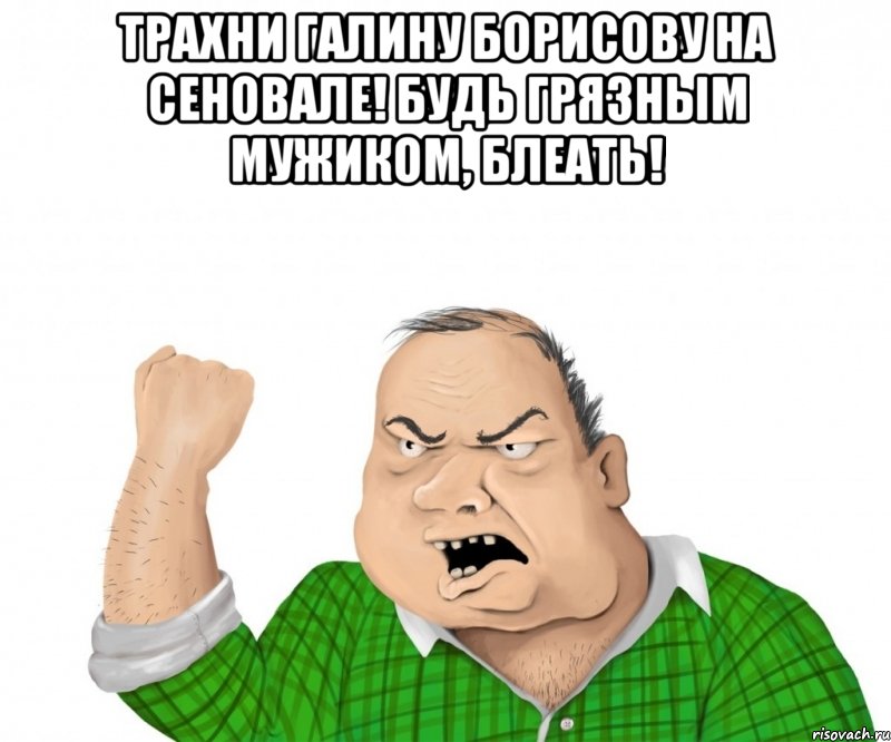 трахни галину борисову на сеновале! будь грязным мужиком, блеать! , Мем мужик