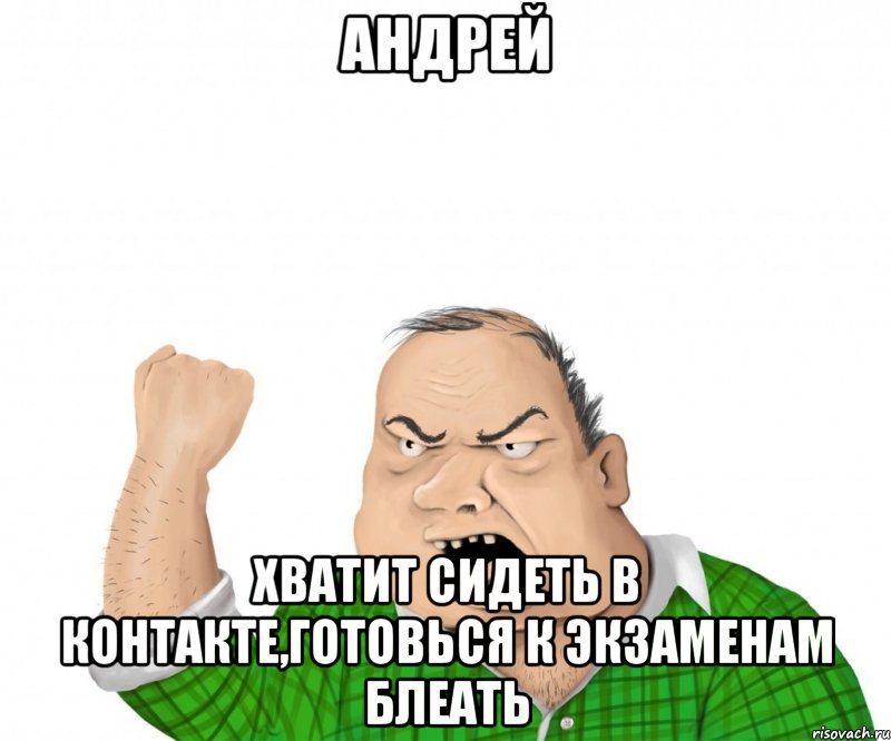 андрей хватит сидеть в контакте,готовься к экзаменам блеать, Мем мужик