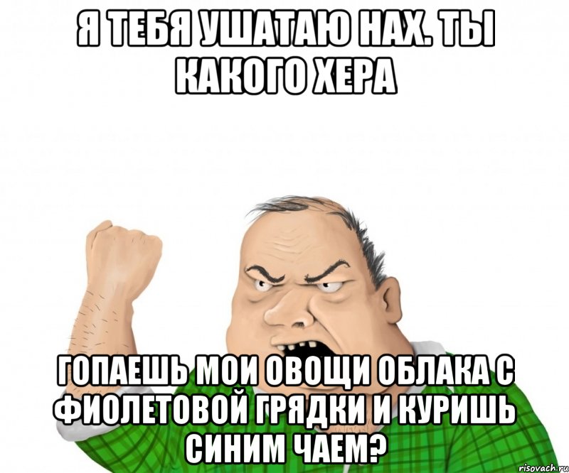 я тебя ушатаю нах. ты какого хера гопаешь мои овощи облака с фиолетовой грядки и куришь синим чаем?, Мем мужик