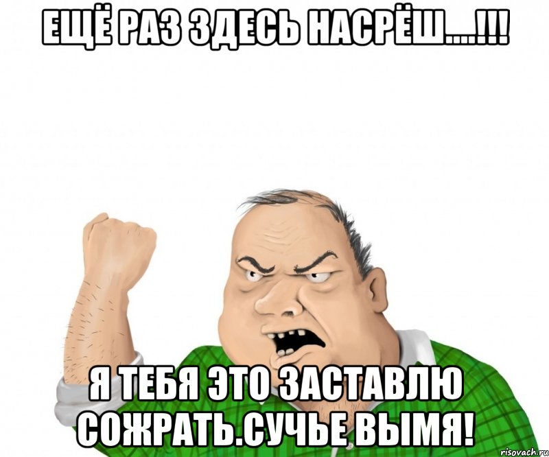 ещё раз здесь насрёш....!!! я тебя это заставлю сожрать.сучье вымя!, Мем мужик