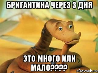 бригантина через 3 дня это много или мало???