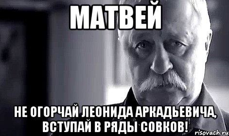 матвей не огорчай леонида аркадьевича, вступай в ряды совков!, Мем Не огорчай Леонида Аркадьевича